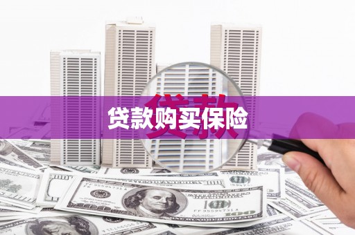 枣强贷款购买保险