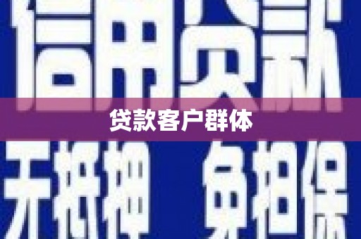 二仑贷款客户群体
