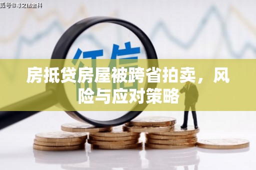 宣汉房抵贷房屋被跨省拍卖，风险与应对策略