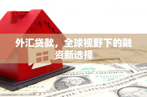 云安外汇贷款，全球视野下的融资新选择