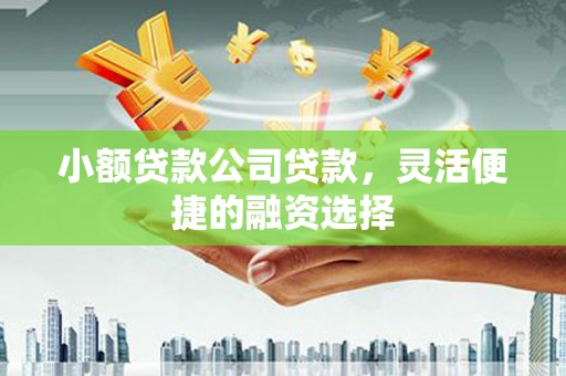 仁爱小额贷款公司贷款，灵活便捷的融资选择