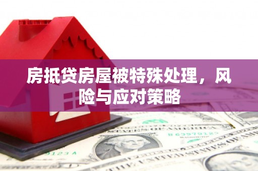 嵊州房抵贷房屋被特殊处理，风险与应对策略