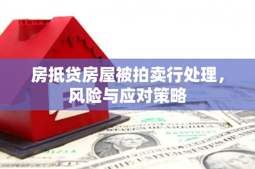 武夷山房抵贷房屋被拍卖行处理，风险与应对策略