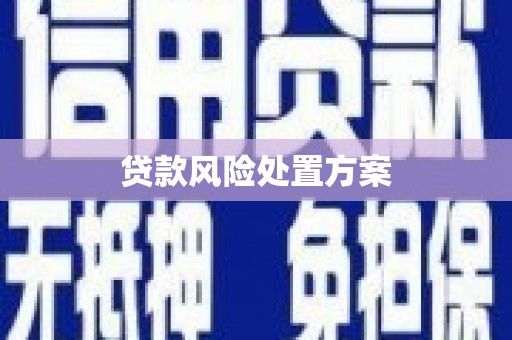 绥棱贷款风险处置方案
