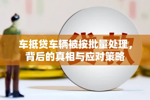 蜀山车抵贷车辆被按批量处理，背后的真相与应对策略