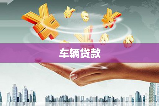 嵊州车辆贷款