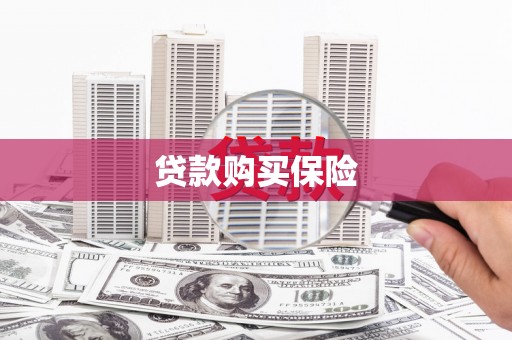 君山贷款购买保险