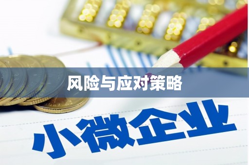 珙县风险与应对策略