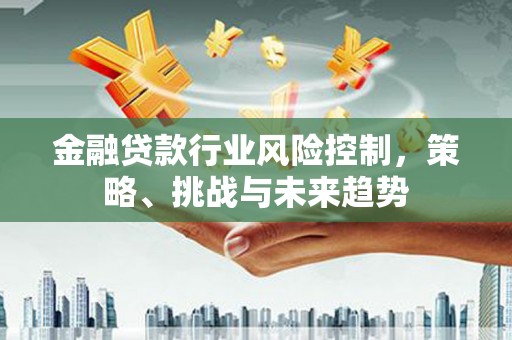 珙县金融贷款行业风险控制，策略、挑战与未来趋势
