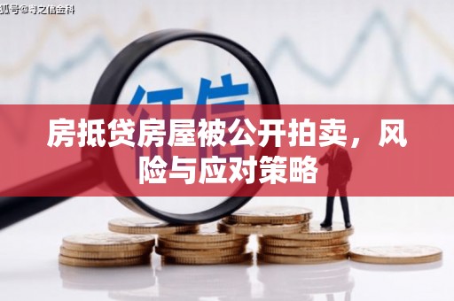 长岛房抵贷房屋被公开拍卖，风险与应对策略