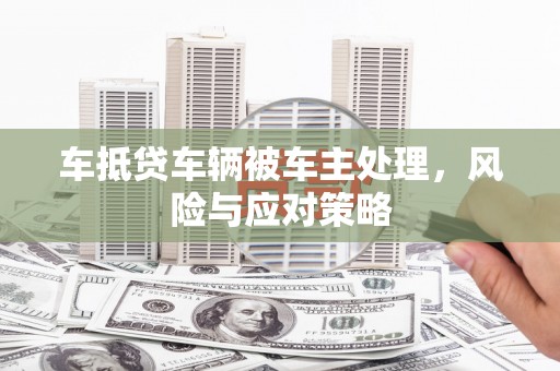 蜀山车抵贷车辆被车主处理，风险与应对策略