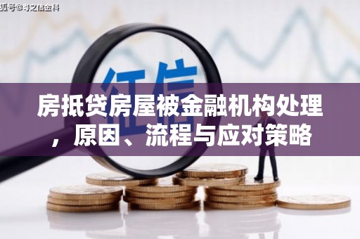 东光房抵贷房屋被金融机构处理，原因、流程与应对策略