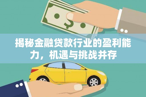 离岛揭秘金融贷款行业的盈利能力，机遇与挑战并存