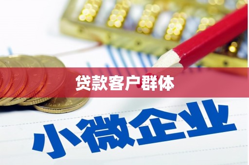 岚皋贷款客户群体