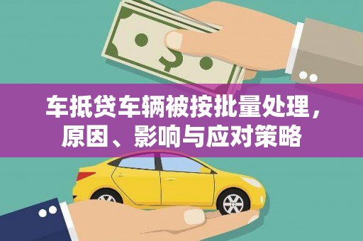 岚皋车抵贷车辆被按批量处理，原因、影响与应对策略