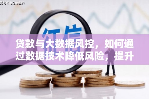 乃东贷款与大数据风控，如何通过数据技术降低风险，提升贷款效率