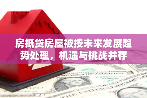 岚皋房抵贷房屋被按未来发展趋势处理，机遇与挑战并存