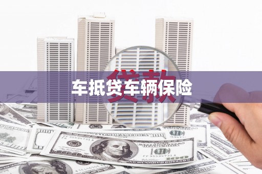 延平车抵贷车辆保险