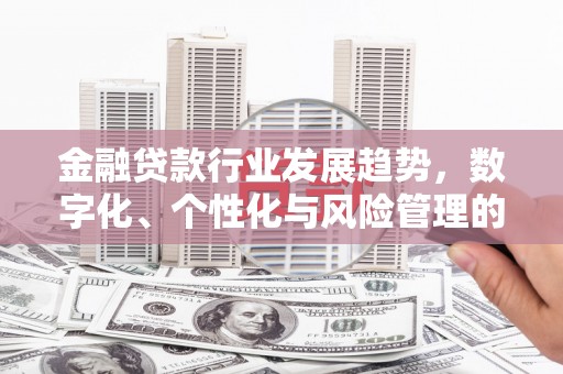 乃东金融贷款行业发展趋势，数字化、个性化与风险管理的未来