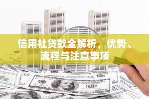 田阳信用社贷款全解析，优势、流程与注意事项
