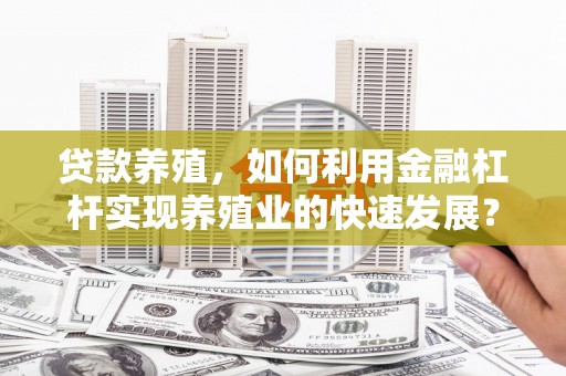界首贷款养殖，如何利用金融杠杆实现养殖业的快速发展？