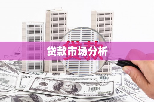 佳里贷款市场分析