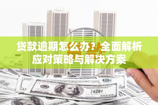 让胡路贷款逾期怎么办？全面解析应对策略与解决方案