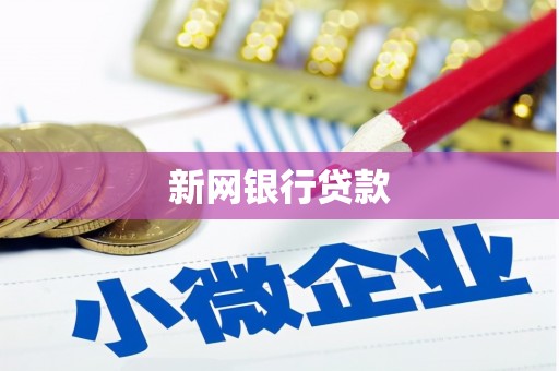 资阳新网银行贷款