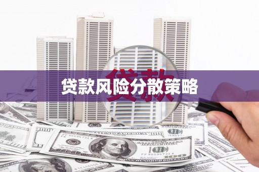 新乐贷款风险分散策略