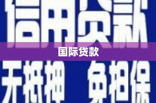 延平国际贷款