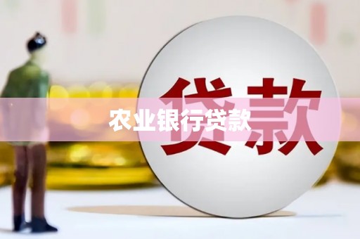 大名农业银行贷款