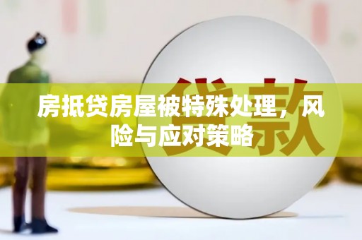 集美房抵贷房屋被特殊处理，风险与应对策略