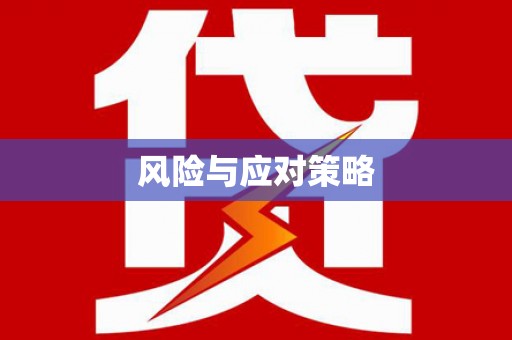 大名风险与应对策略