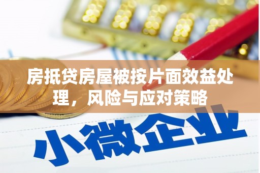 新乐房抵贷房屋被按片面效益处理，风险与应对策略