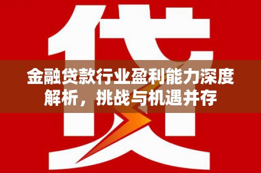 平坝金融贷款行业盈利能力深度解析，挑战与机遇并存
