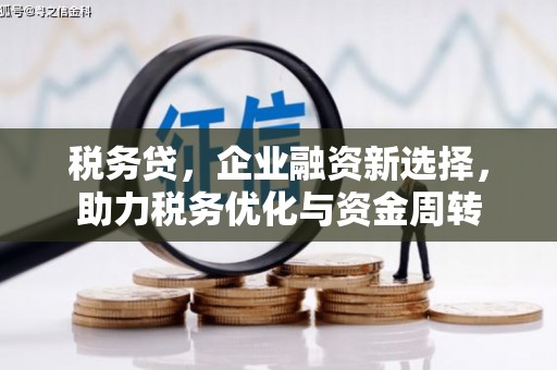 海东税务贷，企业融资新选择，助力税务优化与资金周转