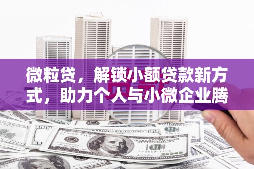 平坝微粒贷，解锁小额贷款新方式，助力个人与小微企业腾飞