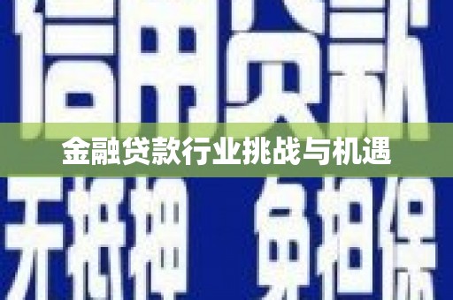 金水金融贷款行业挑战与机遇