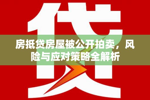 金水房抵贷房屋被公开拍卖，风险与应对策略全解析