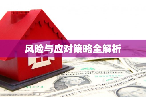 拜城风险与应对策略全解析