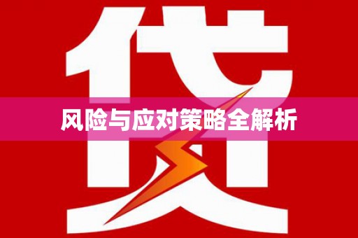 乐都风险与应对策略全解析