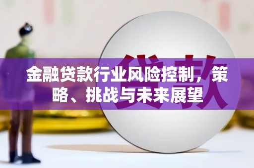 乐都金融贷款行业风险控制，策略、挑战与未来展望