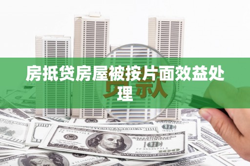 新津房抵贷房屋被按片面效益处理