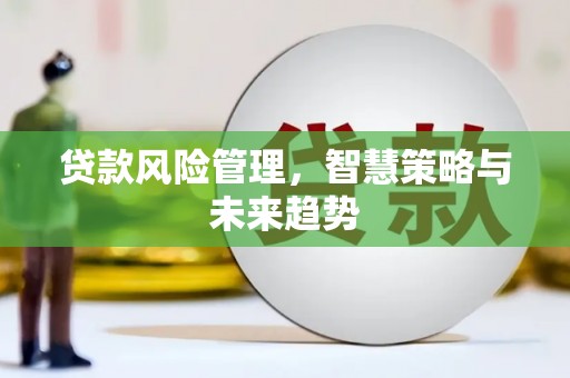 湖南贷款风险管理，智慧策略与未来趋势