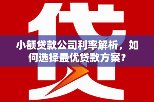 平阴小额贷款公司利率解析，如何选择最优贷款方案？