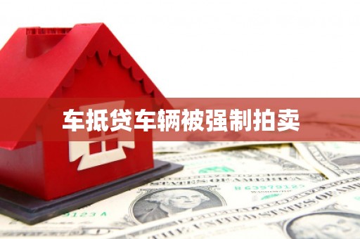 遂昌车抵贷车辆被强制拍卖