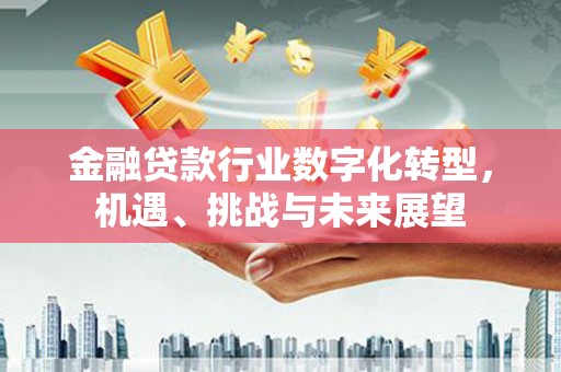 瓯海金融贷款行业数字化转型，机遇、挑战与未来展望
