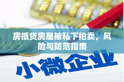 定海房抵贷房屋被私下拍卖，风险与防范指南