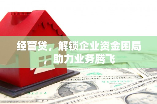 柳东经营贷，解锁企业资金困局，助力业务腾飞