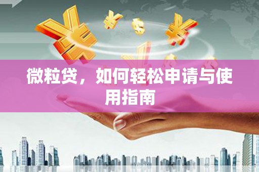 肥乡微粒贷，如何轻松申请与使用指南